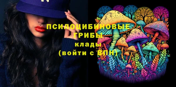 мдпв Армянск