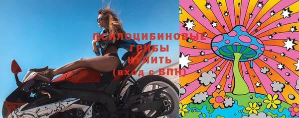 СК Арсеньев