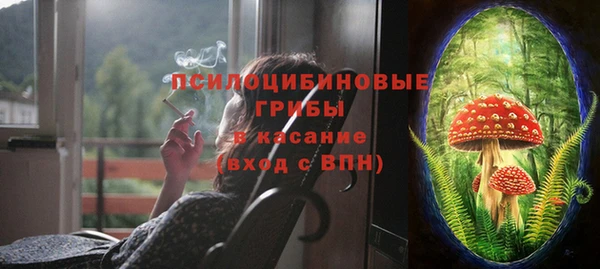 мдпв Армянск