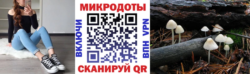 магазин продажи Учалы Псилоцибиновые грибы ЛСД